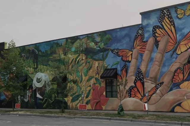 Cayuga Addiction Recovery Services