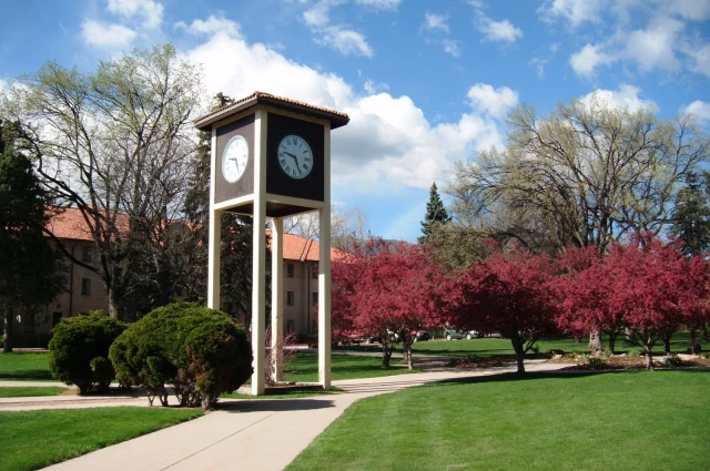 Cedar Springs Hospital - New Choices Dual Diagnosis Program