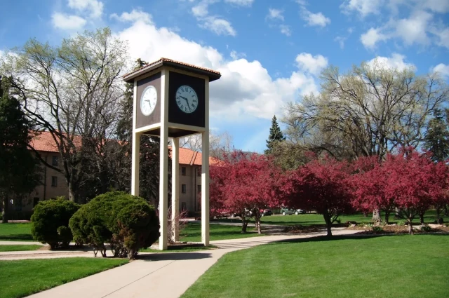 Cedar Springs Hospital - New Choices Dual Diagnosis Program
