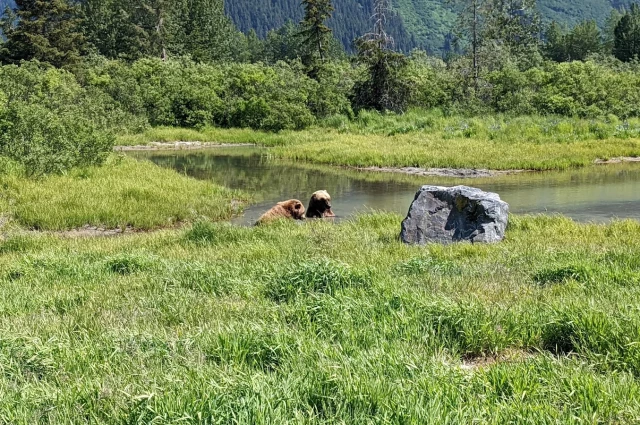 Cook Inlet Tribal Council - Recovery Services Outpatient Services