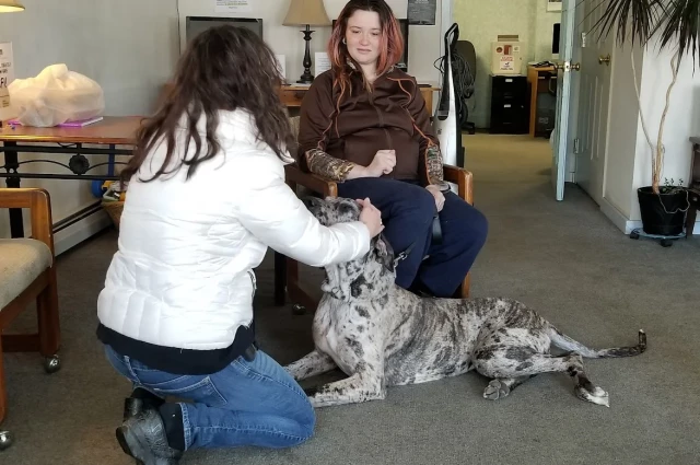 Central Vermont - Substance Abuse Services