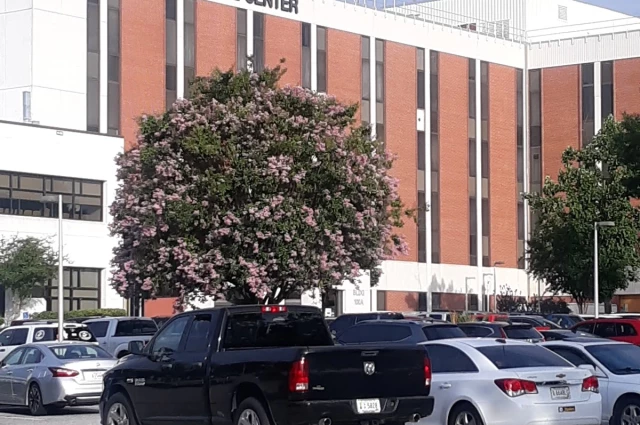 William Jennings Bryan Dorn - Veterans Affairs Medical Center