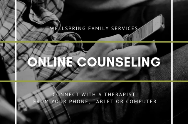Wellspring Family Services - A Division of Crittenton Services