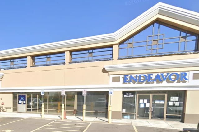 Endeavor Health Services