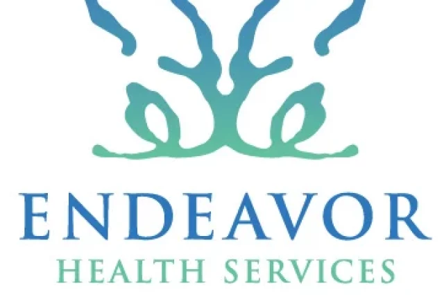 Endeavor Health Services
