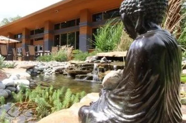 Enlightened Solutions Detox