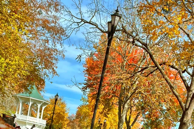 Field of Hope Community Campus