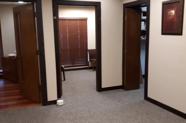 Florida Therapy Services