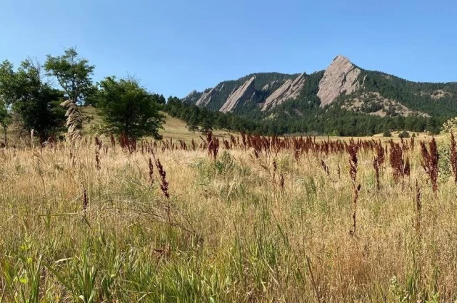 Flatirons Recovery
