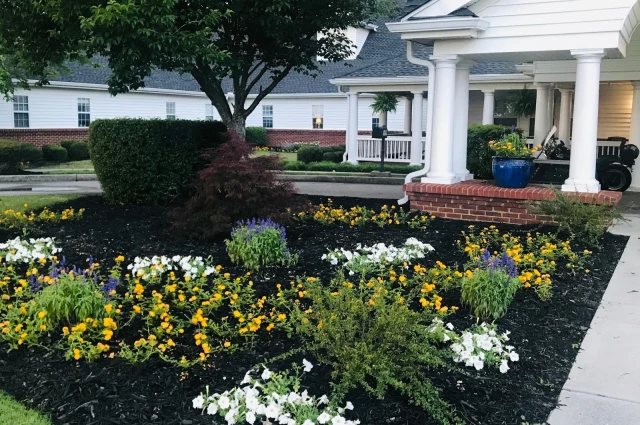 Focus Treatment Centers