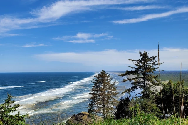 Free by the Sea