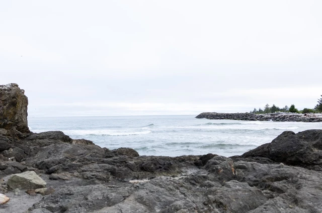 Free by the Sea