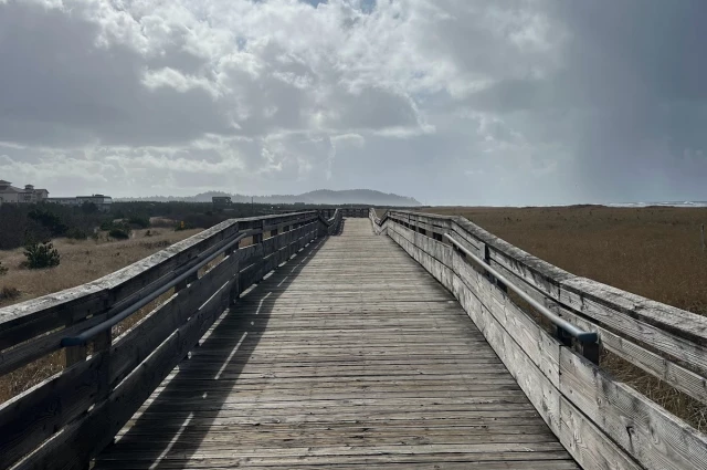 Free by the Sea