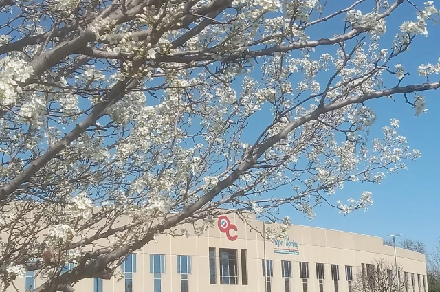 Hope Spring