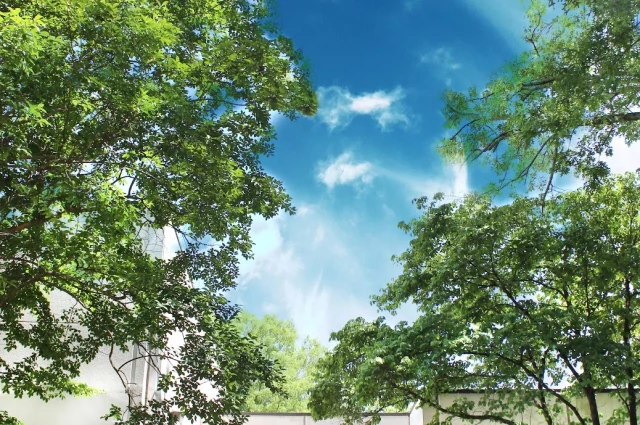 North Fulton Service Center - Adult Behavioral Health Services