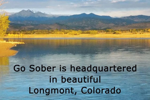 Go Sober 752 17th Avenue