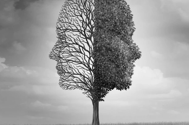 Great Plains Mental Health