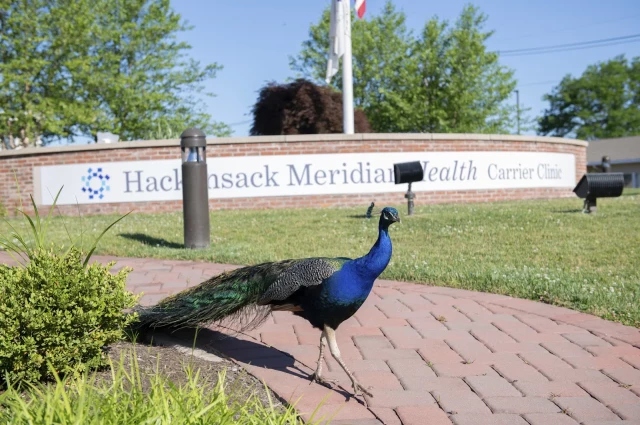Hackensack Meridian Carrier Clinic - Retreat and Recovery at Ramapo Valley