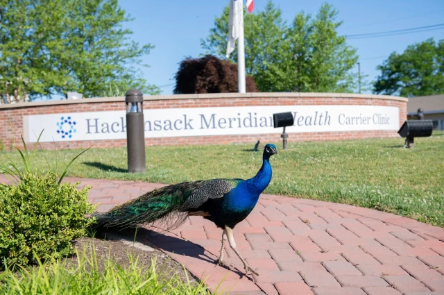 Hackensack Meridian Carrier Clinic - Blake Recovery Center