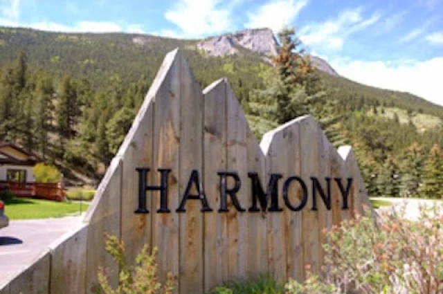 Harmony Foundation