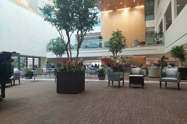 Methodist Hospital Behavioral Health