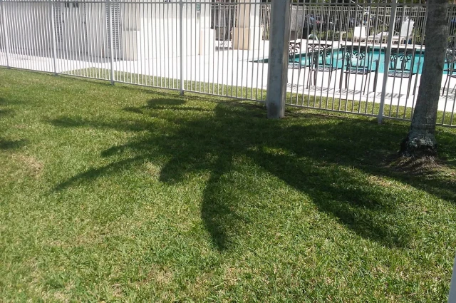 Jewish Adoption and Foster Options