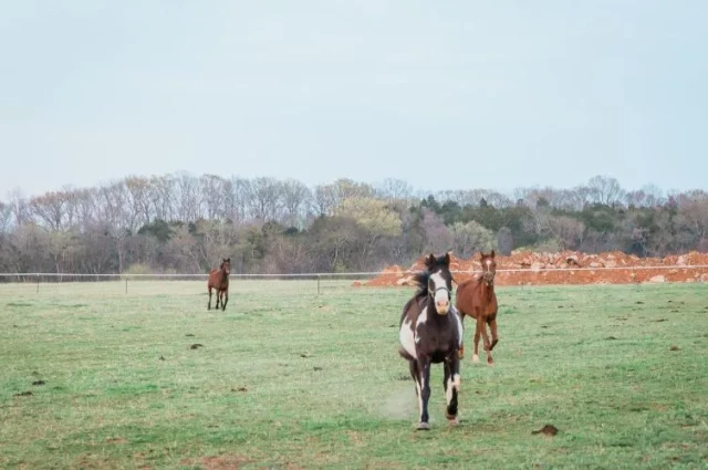 JourneyPure - Tennessee Alcohol and Drug Rehab