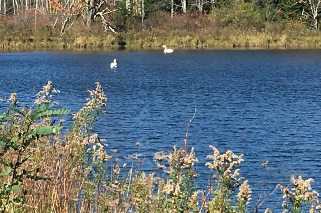 KidsPeace Tobyhanna Outpatient Program - Orchard Behavioral Health