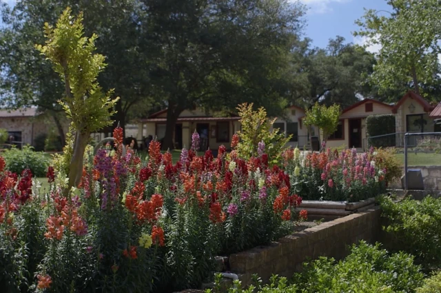 La Hacienda Treatment Center
