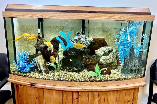 Lake Area Recovery Center - Turning Point