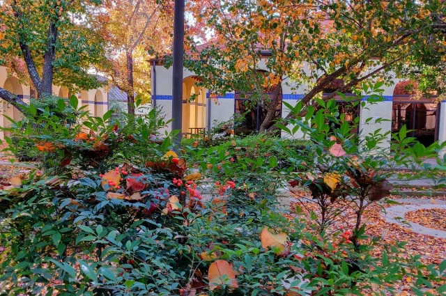 Laurel Ridge Treatment Center