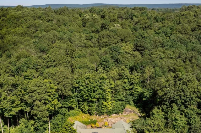 Little Creek Lodge