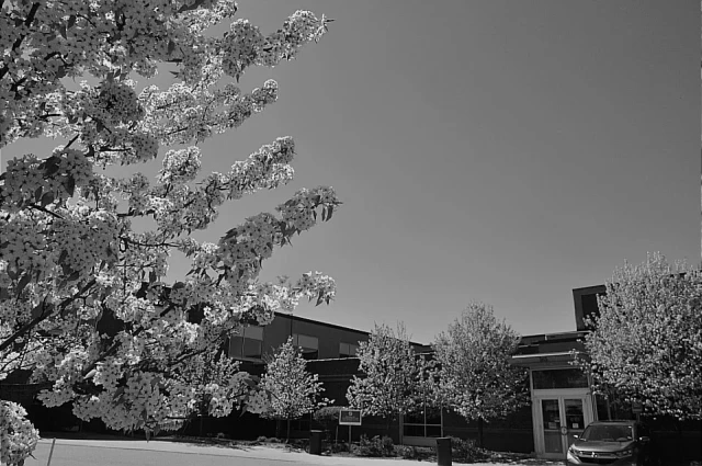 Maine Behavioral Healthcare
