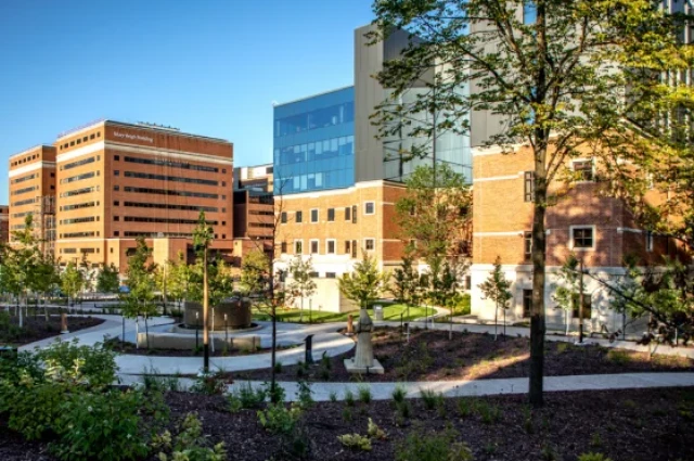 Mayo Clinic - Addiction Services