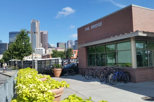 Dallas Metrocare Services - The Brid