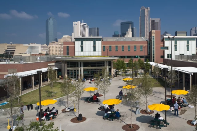 Dallas Metrocare Services - The Brid