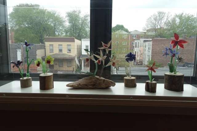 Wakefield Adult Outpatient Psychiatry Program