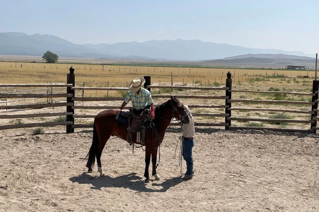 Mountain Valley Recovery