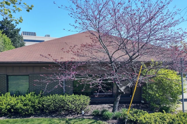 Jade Wellness Center
