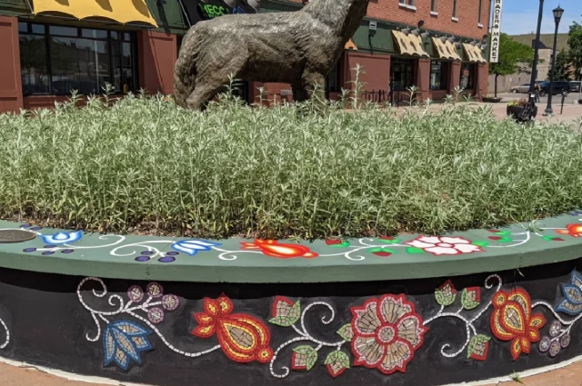 NACC Tribal Health Services Red Lake