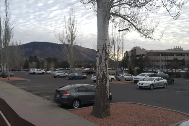 Flagstaff Medical Center - Behavioral Health Services