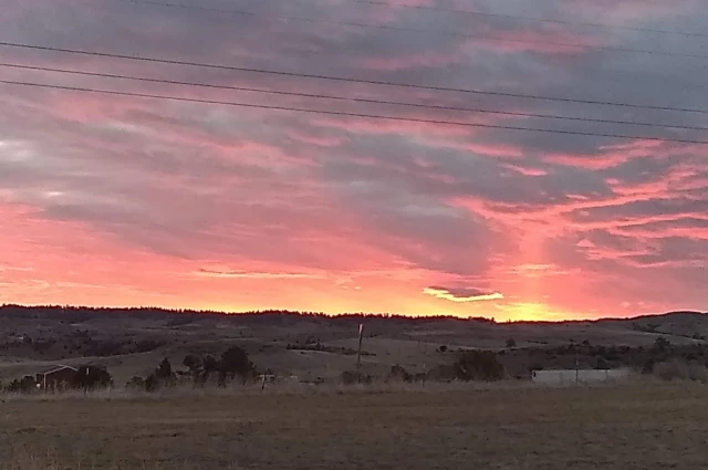 New Day Ranch