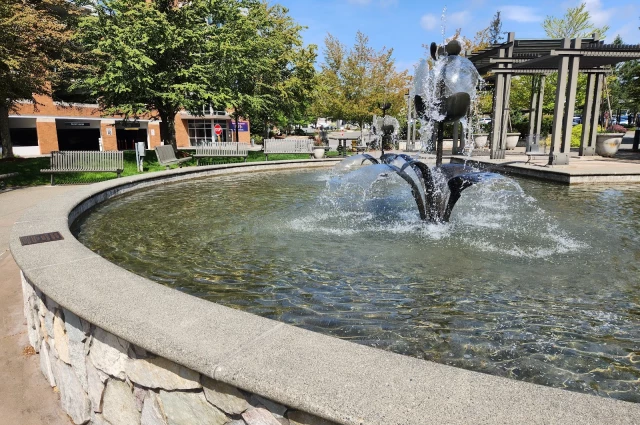 University of Washington - Northwest