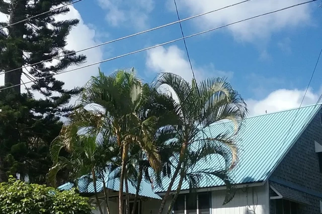 Ohana Makamae