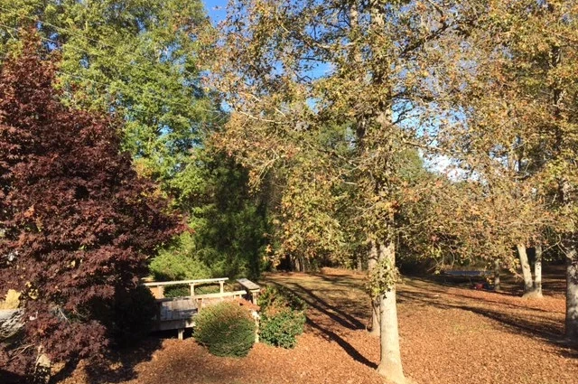 Penfield Addiction Ministries - Lavonia Campus
