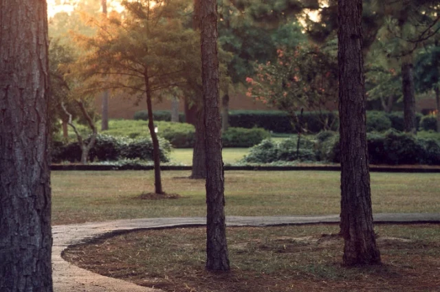 Pine Grove Behavioral Health and Addiction Services 1 Lincoln Parkway
