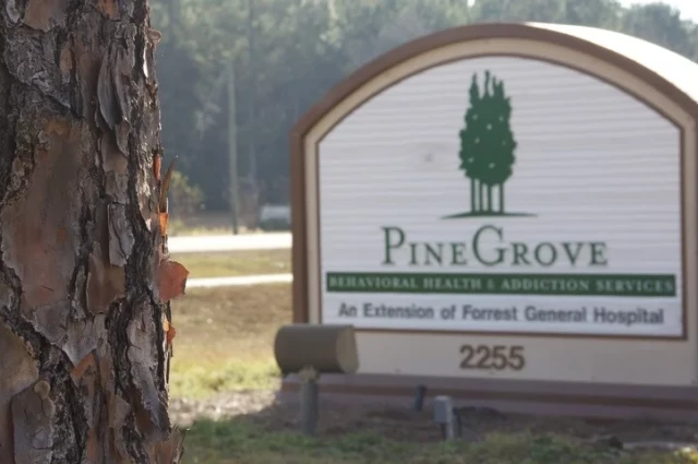 Pine Grove Behavioral Health and Addiction Services