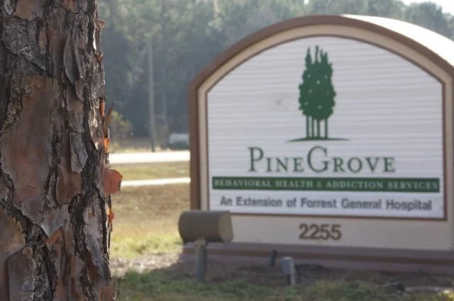 Pine Grove Behavioral Health and Addiction Services