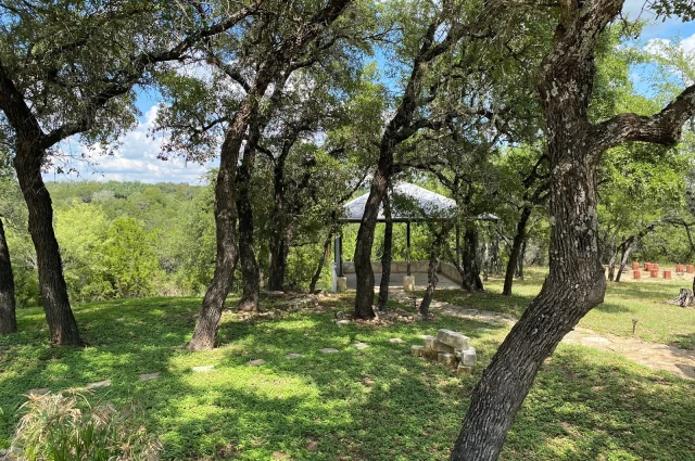 Positive Recovery - Hill Country