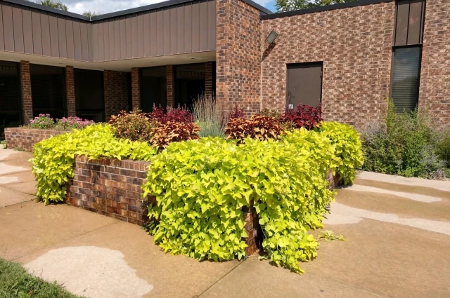 Prairie View - Marion County